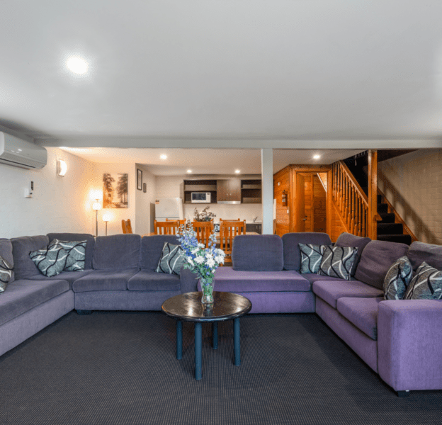 4-Bedroom Apartment living room with purple couch