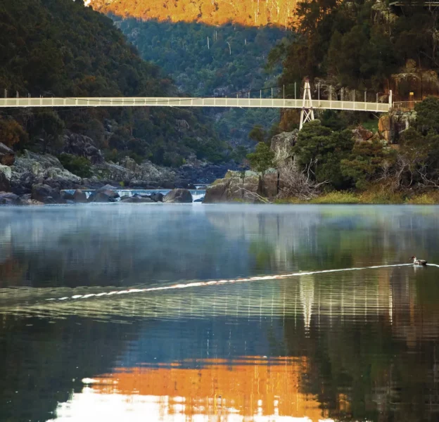 Cataract Gorge Reserve with a pedestrian bridge