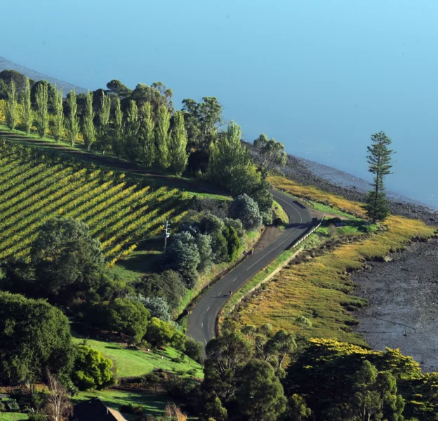 Tamar Valley Winery near the water