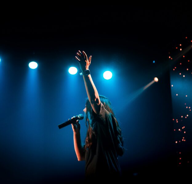 The image of live concert performer